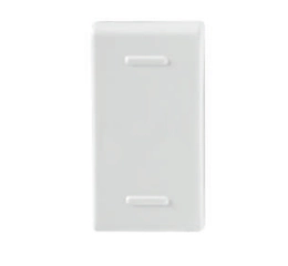 Módulo interruptor intermediário 10A 250V